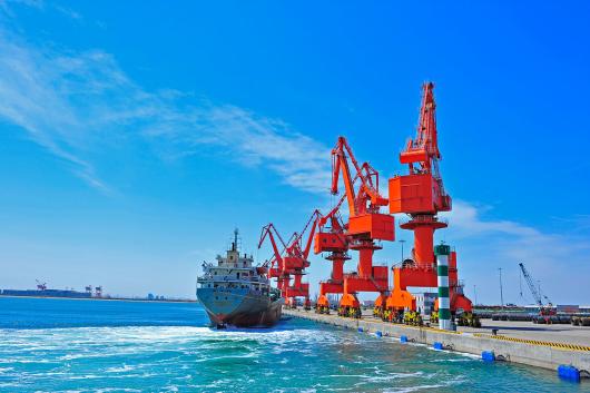 Port crane and bulk carrier
