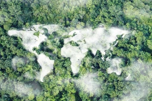Picture of the world's continents in the clouds among the greenery