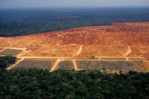 Deforestation - An industry in the middle of the Amazon