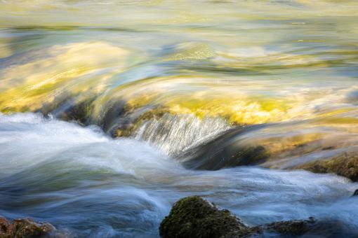 Close-up river stream in forest.