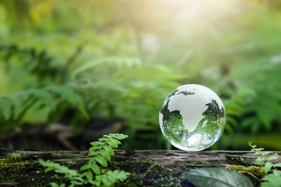 Environmental concept - world map crystal ball in green forest with rich nature.