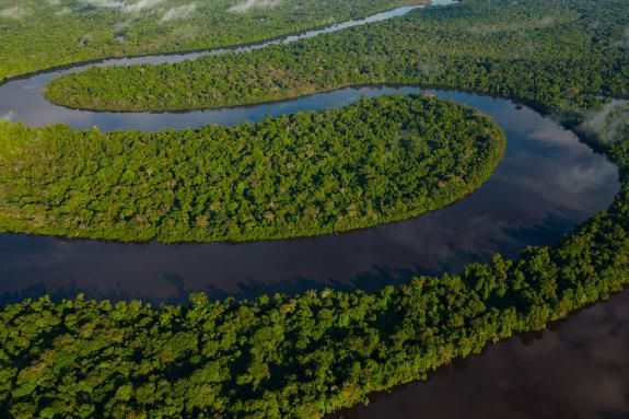 Images of the NANAY River and its large floodable forests that are home to a diversity of fauna and flora. It is a popular place for tourists to get away from the city and delve into nature deep in the Amazon rainforest of Peru.
