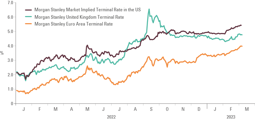 Fig 3: DM terminal rates